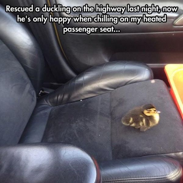 morning picdump 58 pics 43.html - 58 HD Photos | Premium Gallery 2014