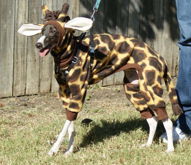 morning picdump 58 pics 43.html - 58 HD Photos | Premium Gallery 2014