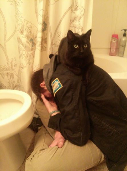 page,9,top 500 morning pics of the year 2014.html - 1 HD Photos | Premium Gallery 2014