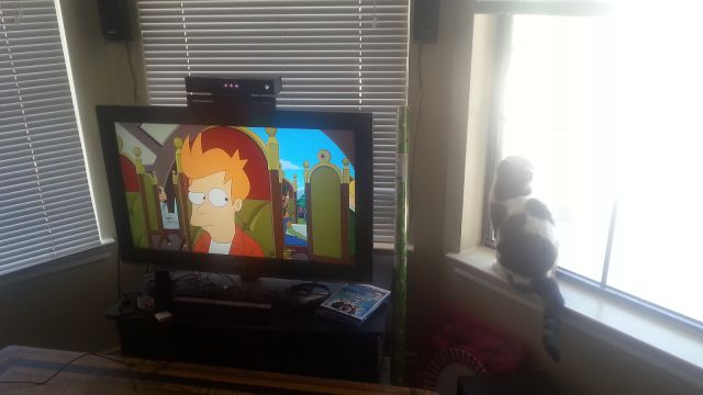 morning picdump 57 pics 4.html - 57 HD Photos | Premium Gallery 2014