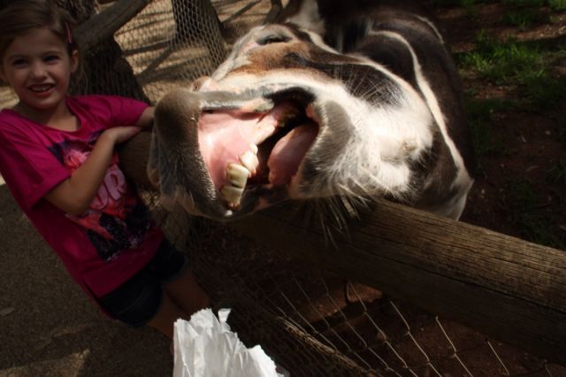 morning picdump 57 pics 4.html - 57 HD Photos | Premium Gallery 2014