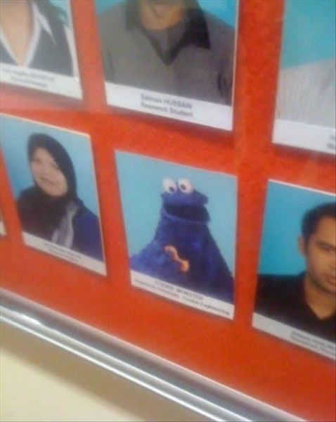 morning picdump 57 pics 4.html - 57 HD Photos | Premium Gallery 2014