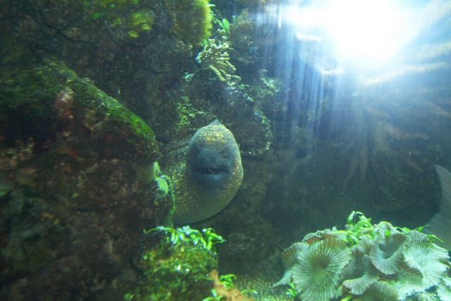 morning picdump 58 pics 13.html - 58 HD Photos | Premium Gallery 2014