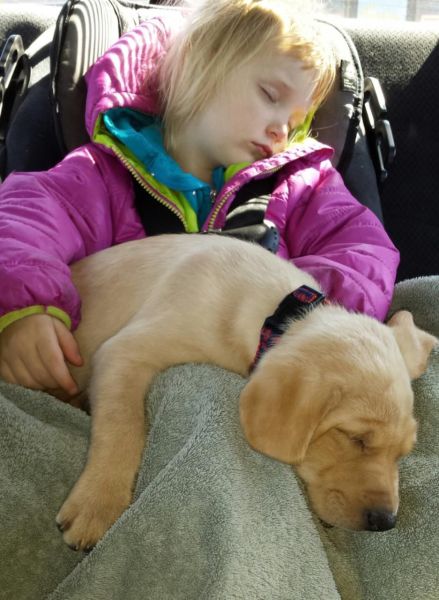 morning picdump 58 pics 13.html - 58 HD Photos | Premium Gallery 2014