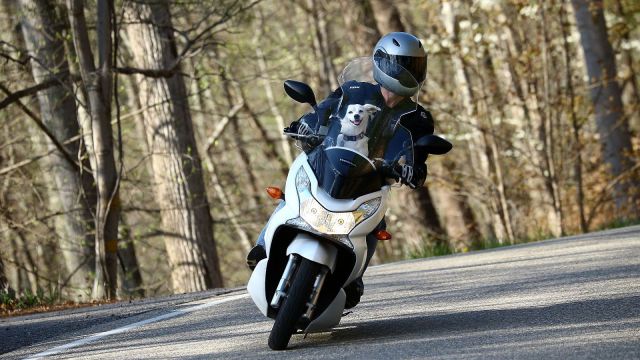 morning picdump 58 pics 13.html - 58 HD Photos | Premium Gallery 2014