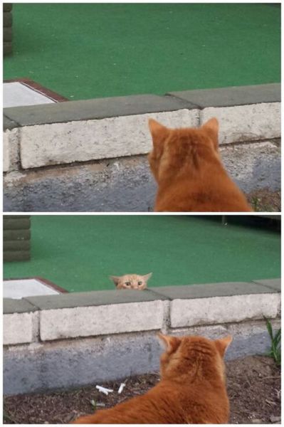 morning picdump 58 pics 13.html - 58 HD Photos | Premium Gallery 2014