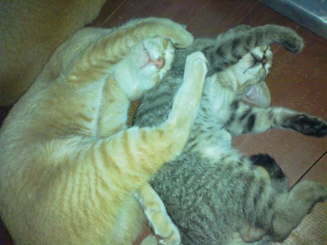 morning picdump 58 pics 13.html - 58 HD Photos | Premium Gallery 2014