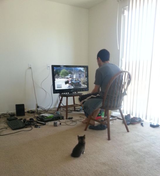 morning picdump 58 pics 13.html - 58 HD Photos | Premium Gallery 2014