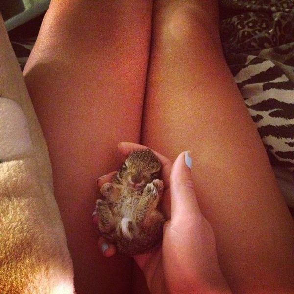 morning picdump 58 pics 13.html - 58 HD Photos | Premium Gallery 2014