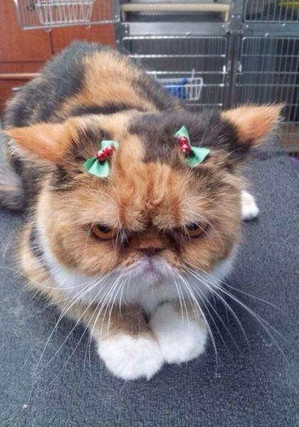 morning picdump 58 pics 13.html - 58 HD Photos | Premium Gallery 2014