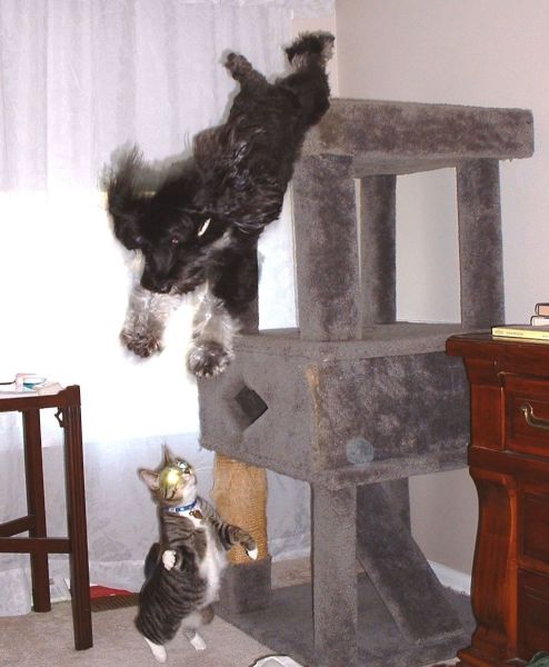 morning picdump 58 pics 13.html - 58 HD Photos | Premium Gallery 2014