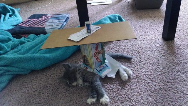 morning picdump 58 pics 13.html - 58 HD Photos | Premium Gallery 2014