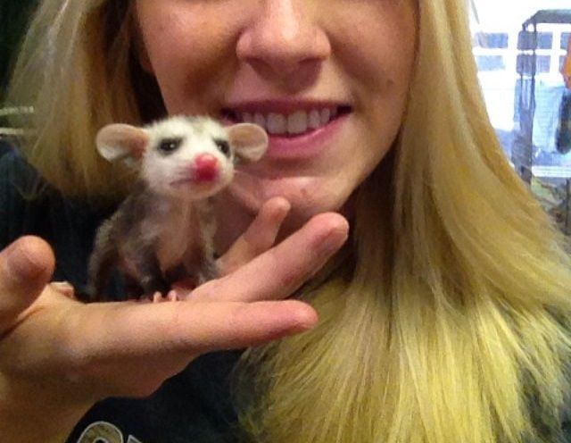 morning picdump 58 pics 13.html - 58 HD Photos | Premium Gallery 2014