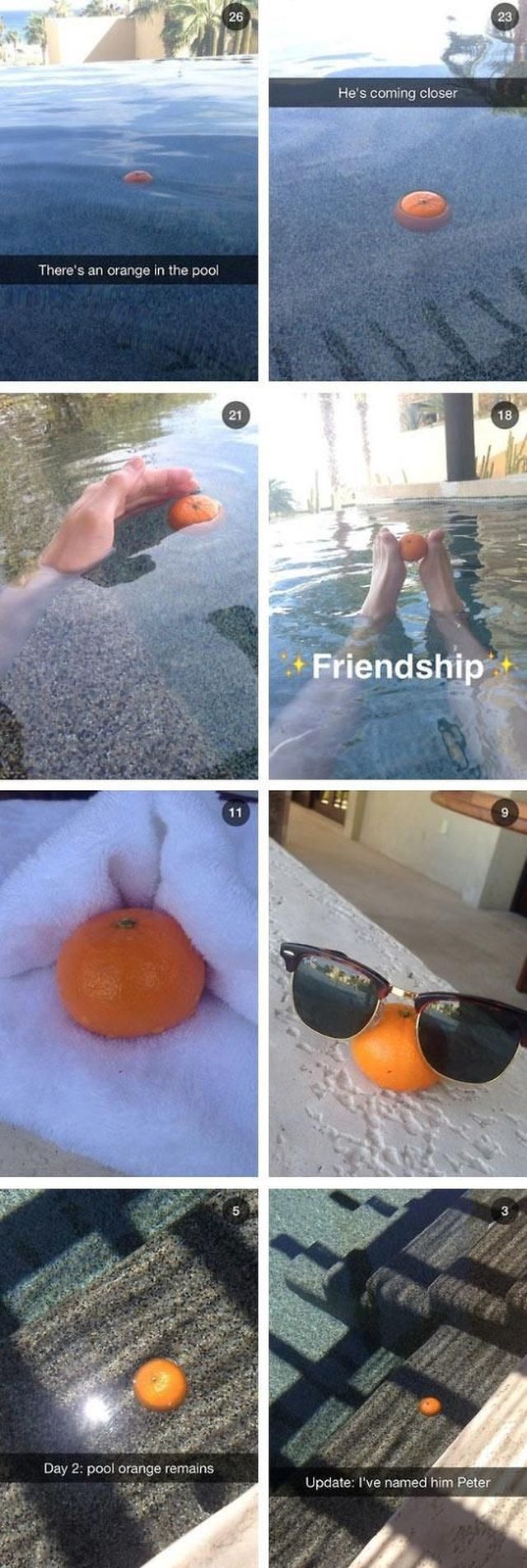 morning picdump 58 pics 13.html - 58 HD Photos | Premium Gallery 2014