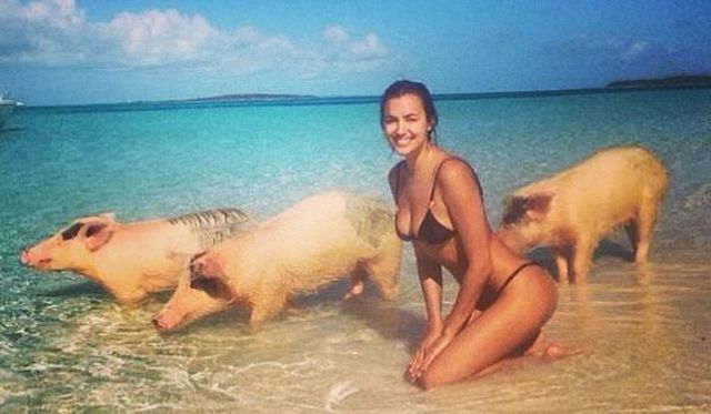 grownup corner 50 pics 3 gifs 3.html - 50 HD GIF | Premium Gallery 2014