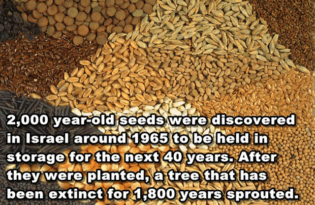 Interesting and Unusual Facts