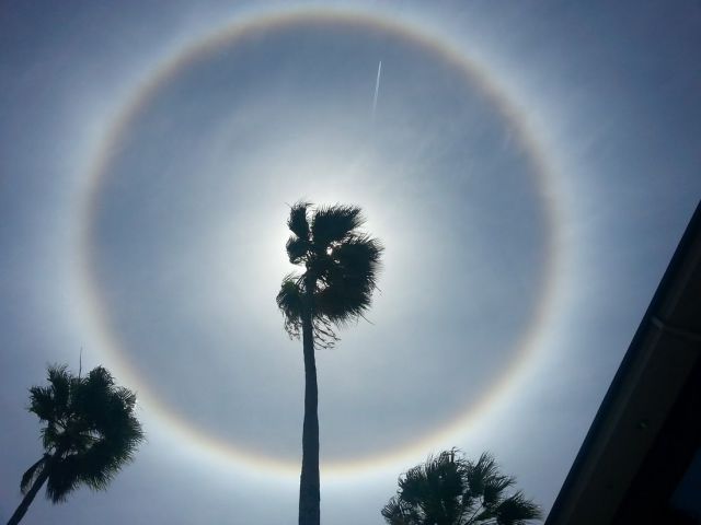 morning picdump 54 pics 12.html - 54 HD Photos | Premium Gallery 2014