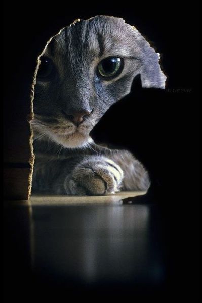 page,2,top 500 morning pics of the year 2014.html - 1 HD Photos | Premium Gallery 2014