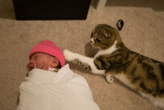 morning picdump 54 pics 12.html - 54 HD Photos | Premium Gallery 2014