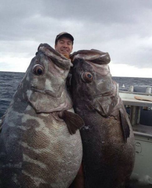 morning picdump 54 pics 12.html - 54 HD Photos | Premium Gallery 2014