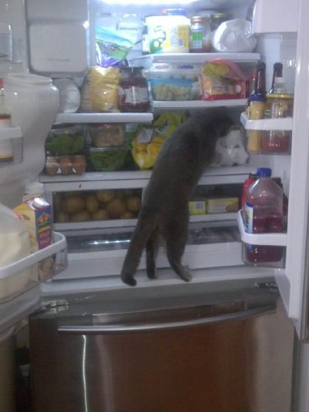 morning picdump 54 pics 12.html - 54 HD Photos | Premium Gallery 2014