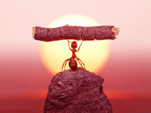 Brilliant Timing Creates Epic Photos