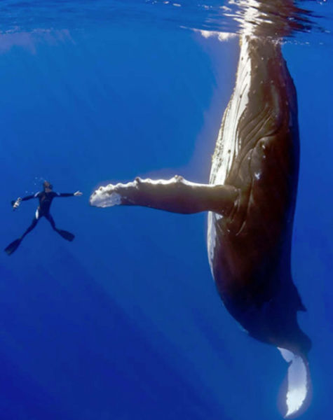 Brilliant Timing Creates Epic Photos