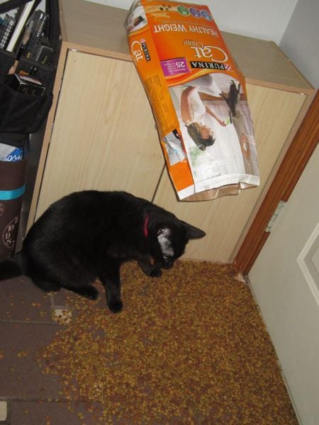 morning picdump 59 pics 1.html - 59 HD Photos | Premium Gallery 2014