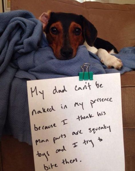 page,2,top 500 morning pics of the year 2014.html - 1 HD Photos | Premium Gallery 2014