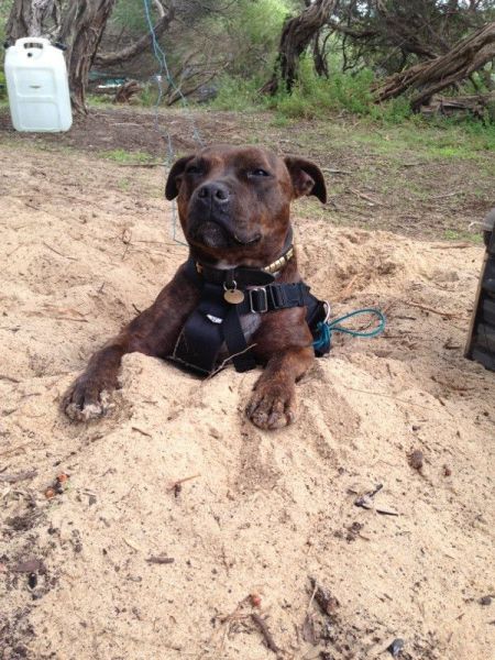 morning picdump 59 pics 1.html - 59 HD Photos | Premium Gallery 2014