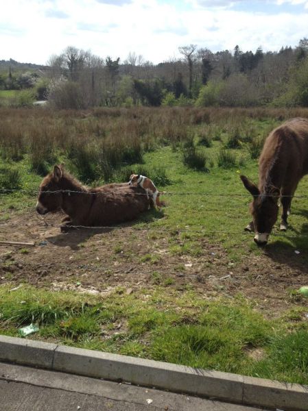 morning picdump 59 pics 1.html - 59 HD Photos | Premium Gallery 2014