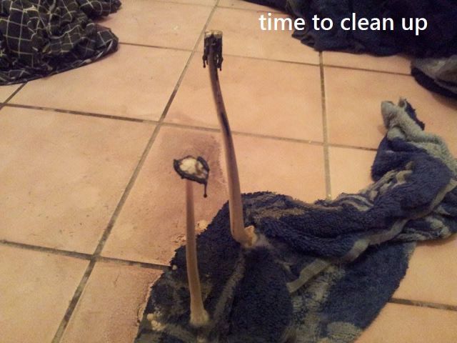 morning picdump 59 pics 1.html - 59 HD Photos | Premium Gallery 2014