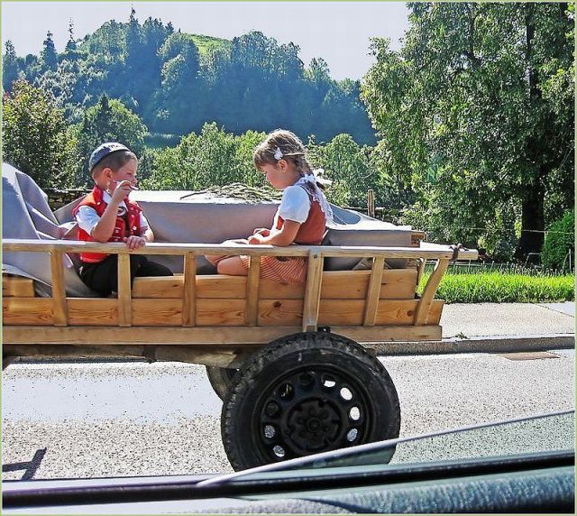 morning picdump 59 pics 1.html - 59 HD Photos | Premium Gallery 2014