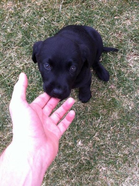 morning picdump 59 pics 1.html - 59 HD Photos | Premium Gallery 2014