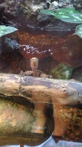 morning picdump 57 pics 21.html - 57 HD Photos | Premium Gallery 2014