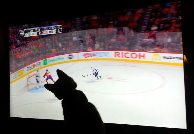 morning picdump 57 pics 21.html - 57 HD Photos | Premium Gallery 2014