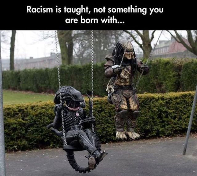 morning picdump 57 pics 21.html - 57 HD Photos | Premium Gallery 2014