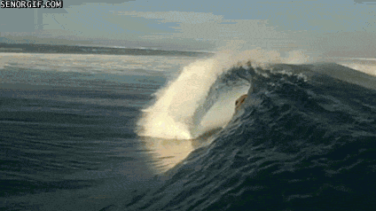 Just another Day at the Beach