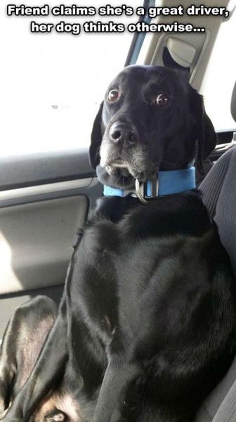 page,3,top 500 morning pics of the year 2014.html - 1 HD Photos | Premium Gallery 2014