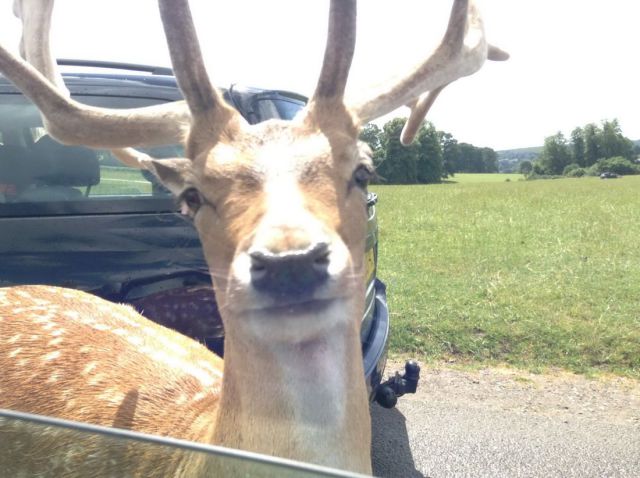 morning picdump 59 pics 5.html - 59 HD Photos | Premium Gallery 2014