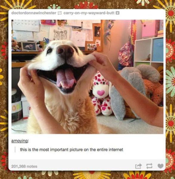 page,2,top 500 morning pics of the year 2014.html - 1 HD Photos | Premium Gallery 2014