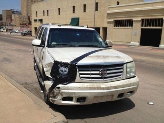 morning picdump 59 pics 5.html - 59 HD Photos | Premium Gallery 2014