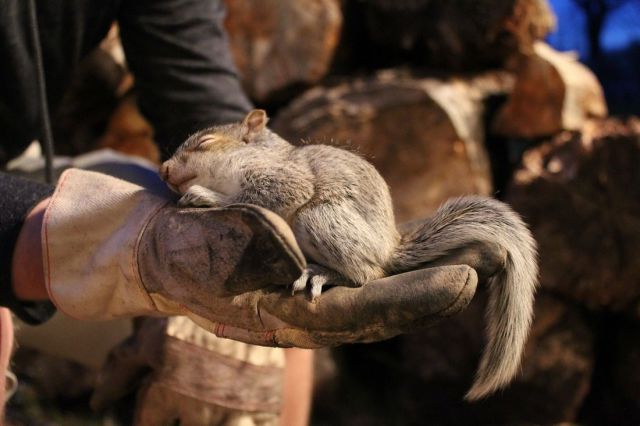 morning picdump 59 pics 5.html - 59 HD Photos | Premium Gallery 2014