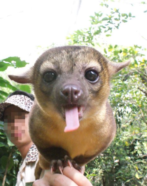 morning picdump 59 pics 5.html - 59 HD Photos | Premium Gallery 2014