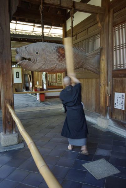 morning picdump 59 pics 5.html - 59 HD Photos | Premium Gallery 2014