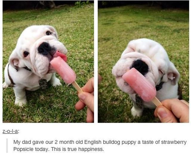 morning picdump 59 pics 5.html - 59 HD Photos | Premium Gallery 2014