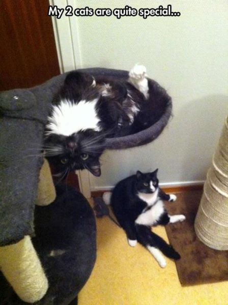 morning picdump 59 pics 5.html - 59 HD Photos | Premium Gallery 2014