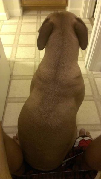 morning picdump 58 pics 30.html - 58 HD Photos | Premium Gallery 2014