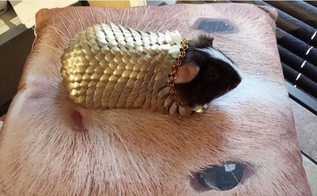 morning picdump 58 pics 30.html - 58 HD Photos | Premium Gallery 2014