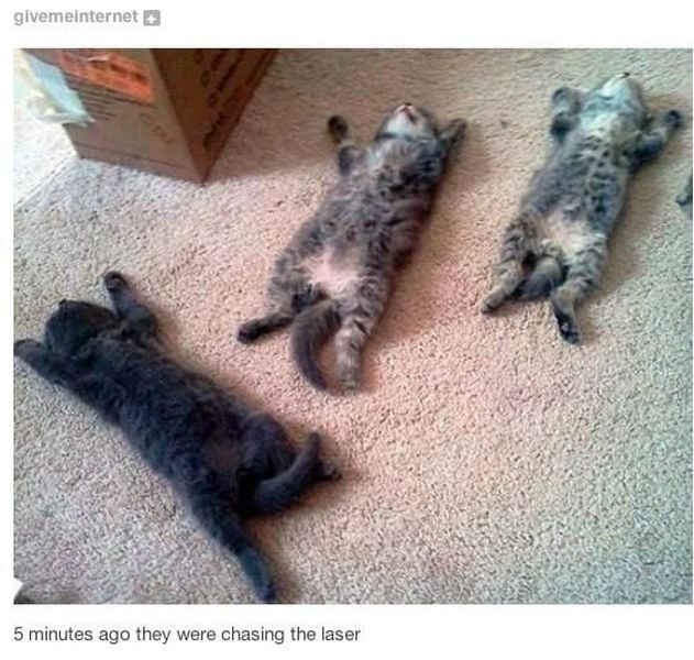 morning picdump 58 pics 30.html - 58 HD Photos | Premium Gallery 2014